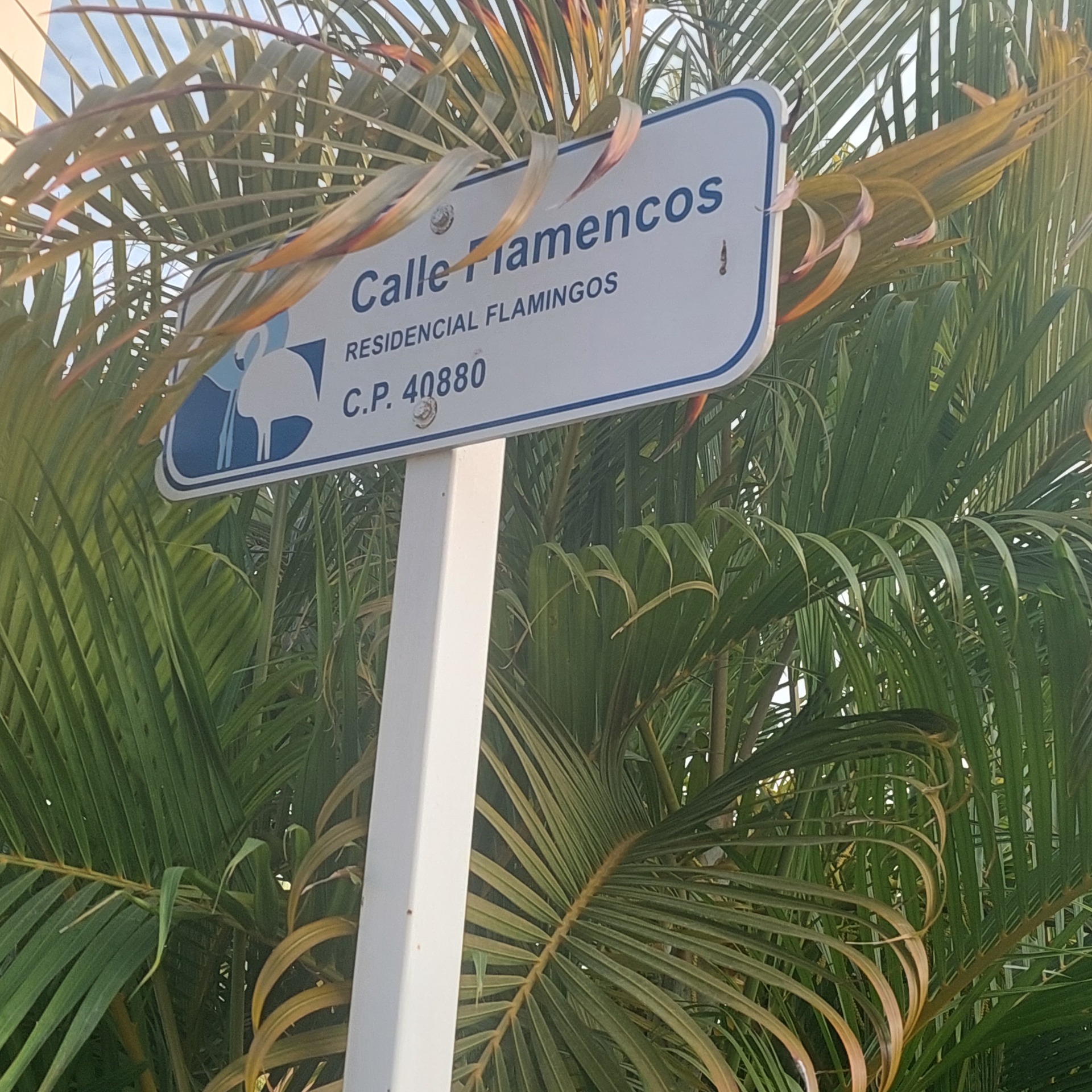 Letrero en la esquina